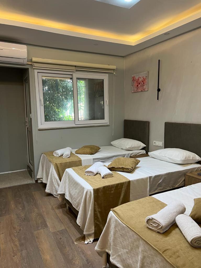 Mr Lion Kumkapi Otel 伊斯坦布尔 外观 照片